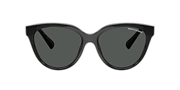 armani exchange Sunglasses ax4148su