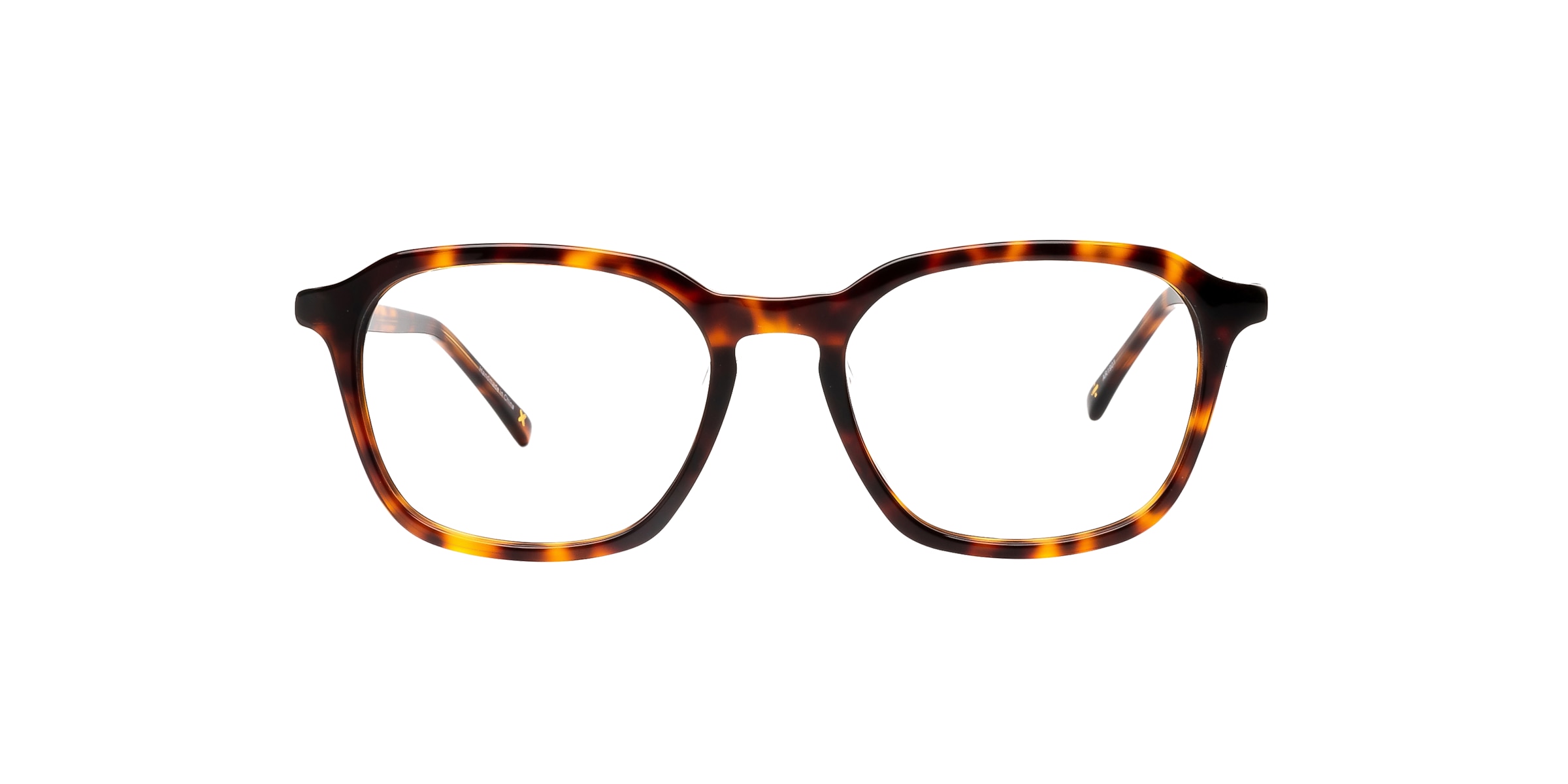 Clearly Glasses CARINA