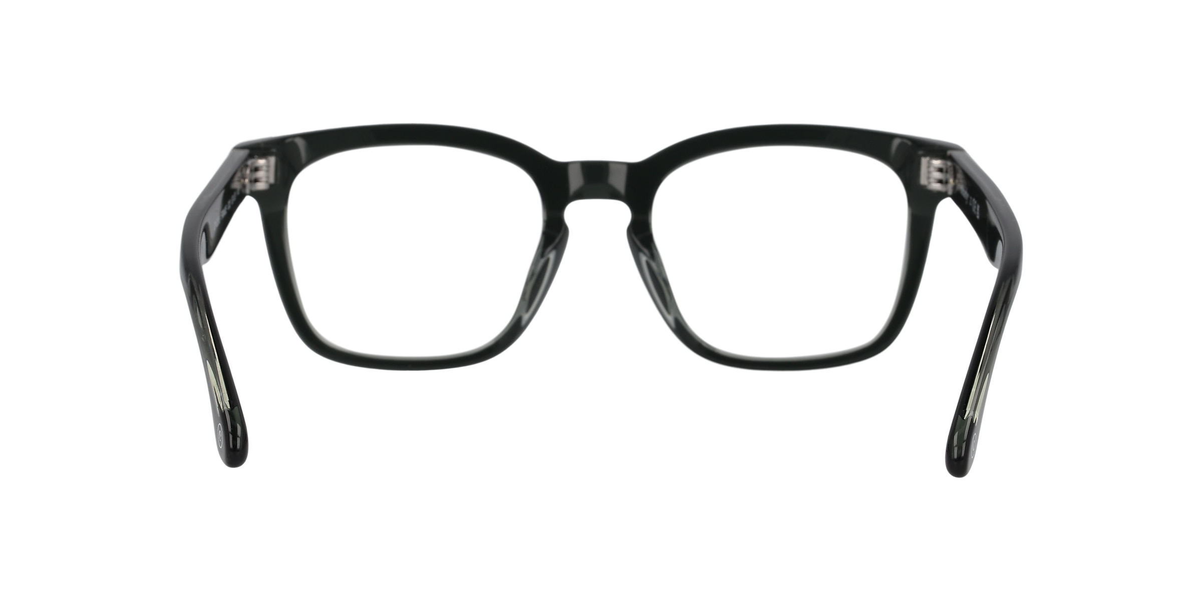 Clearly Glasses FRINGE