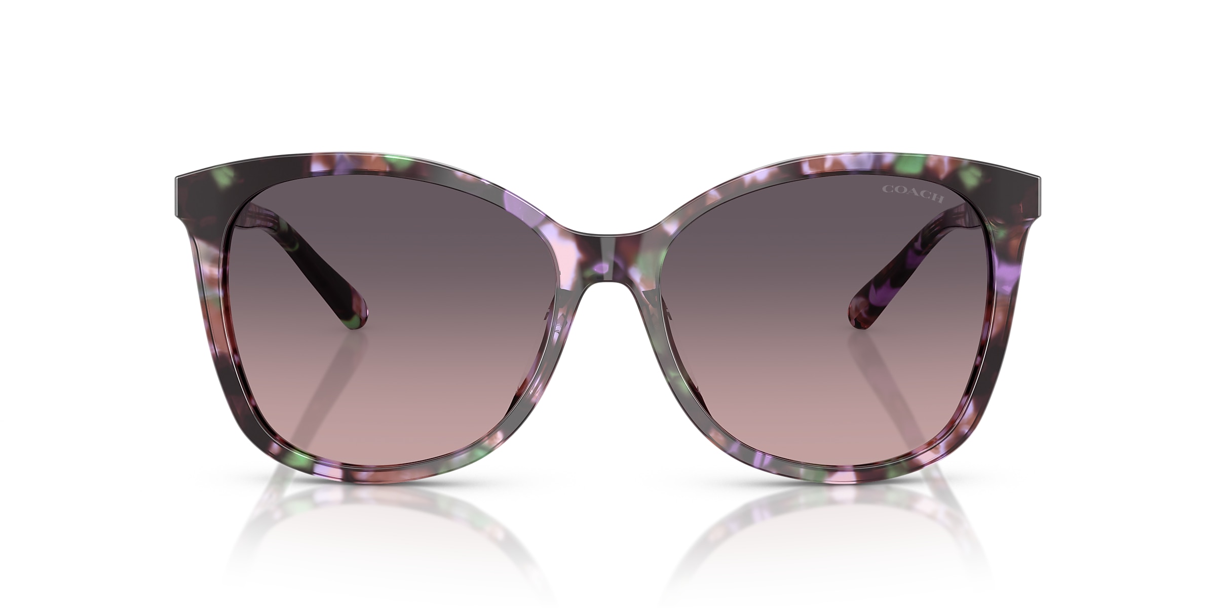 Coach Sunglasses HC8271U L1101