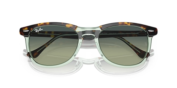 RB2398 EAGLE EYE