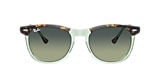 Ray-Ban Sunglasses RB2398 EAGLE EYE