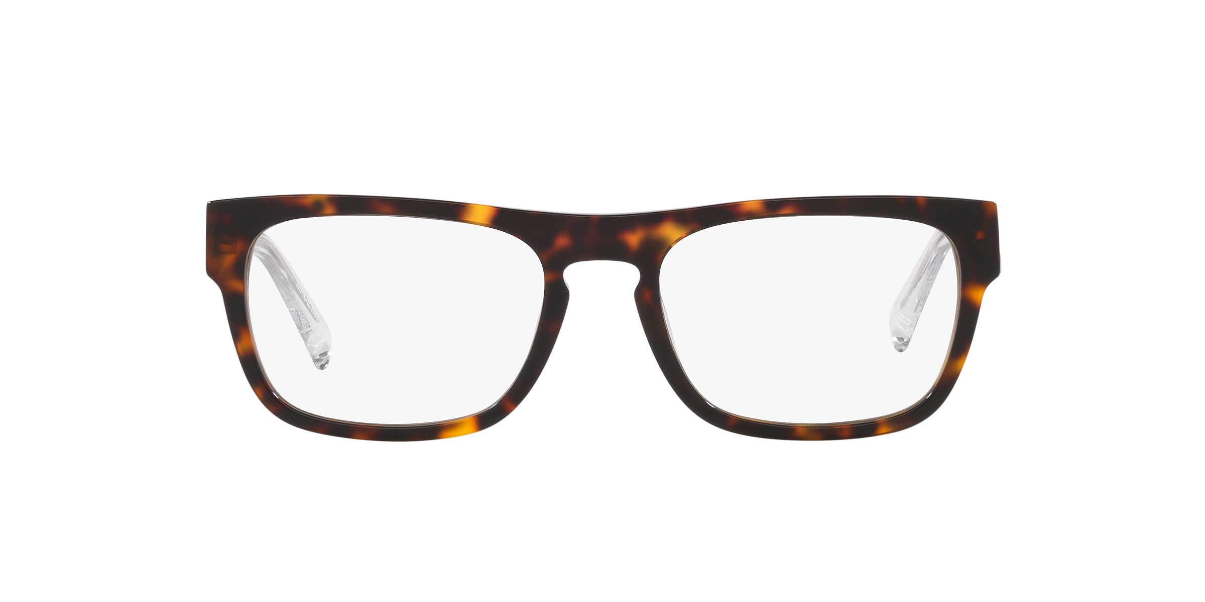 Clearly Glasses EARTH