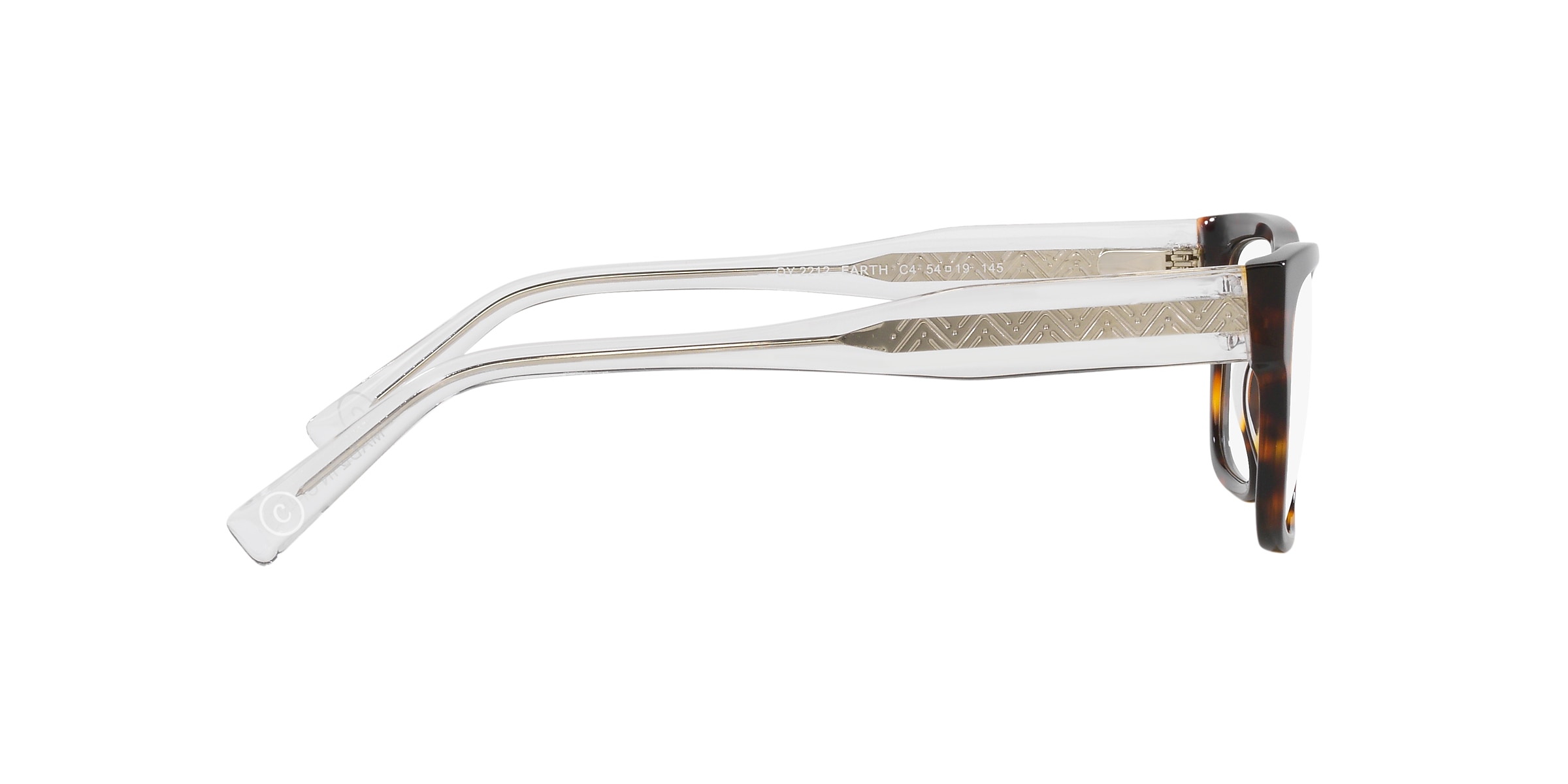 Clearly Glasses EARTH