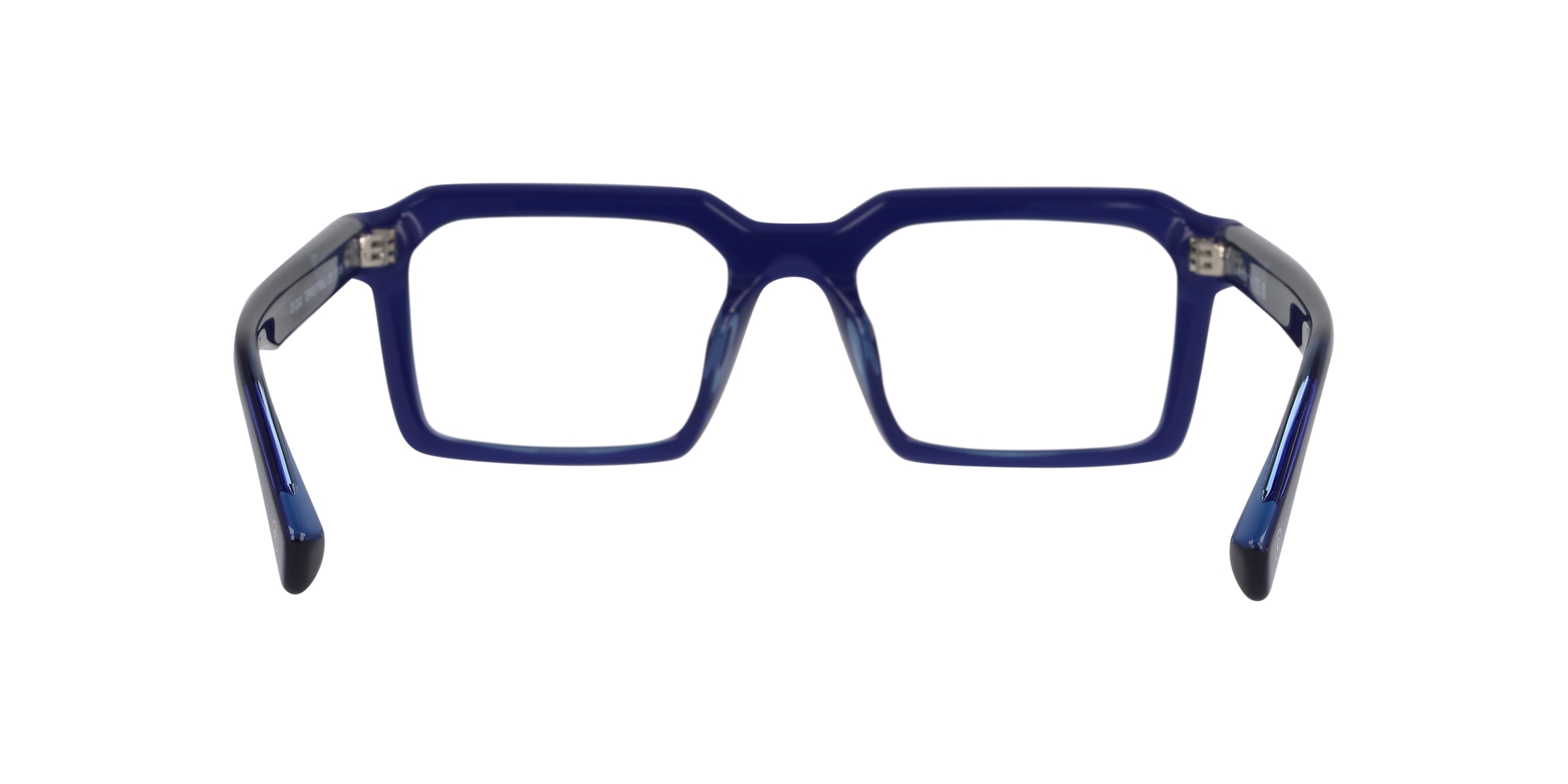 Clearly Glasses TERRESTRIAL