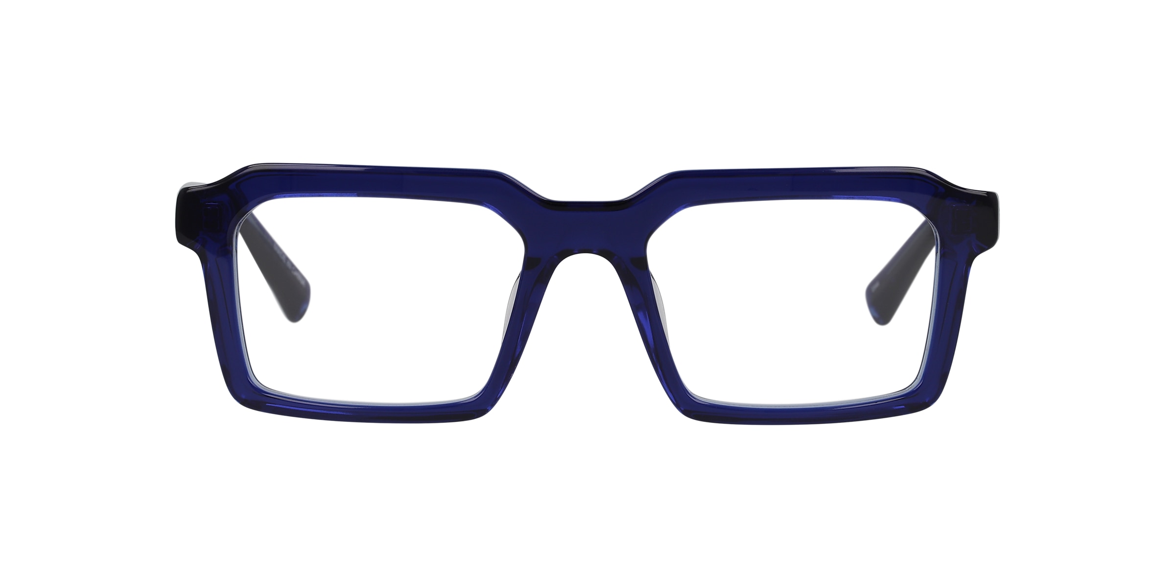 Clearly Glasses TERRESTRIAL