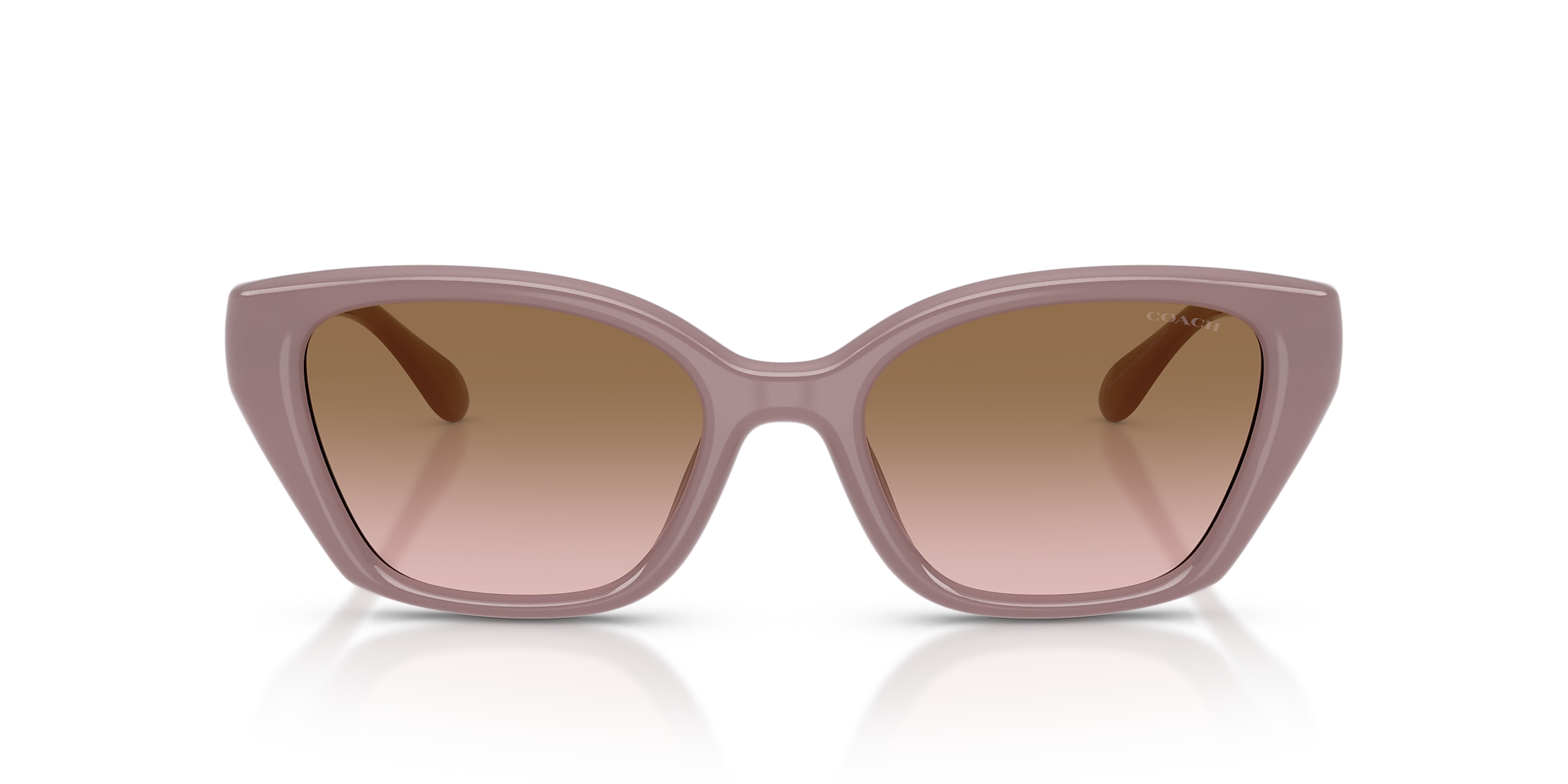 Coach Sunglasses HC8434U CBY91