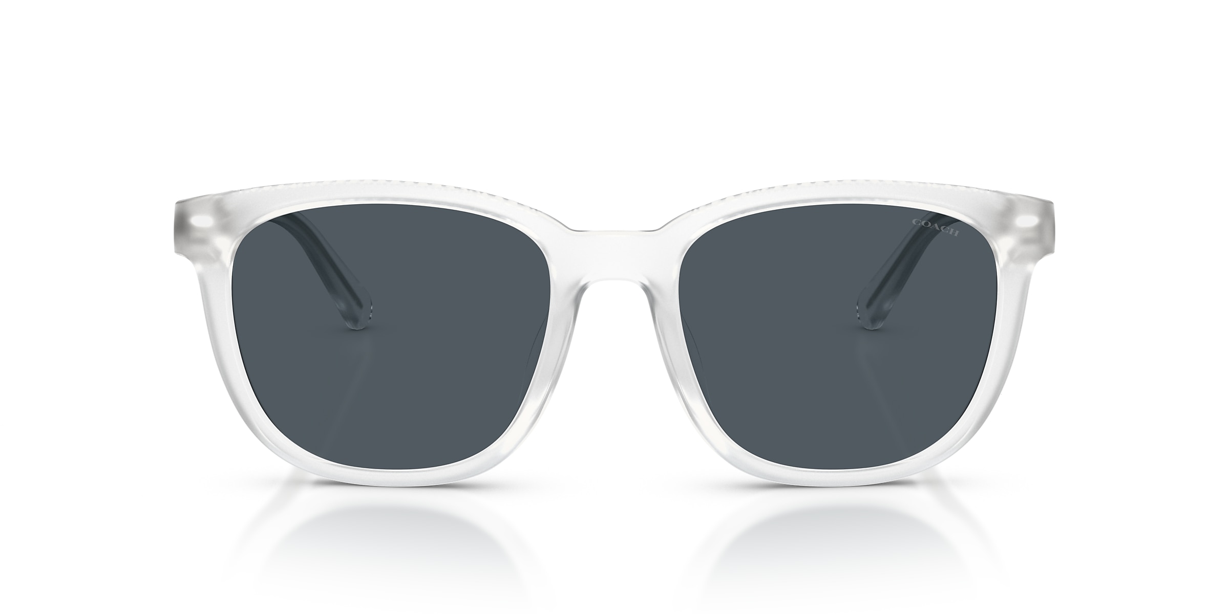 Coach Sunglasses HC8442U CCA00