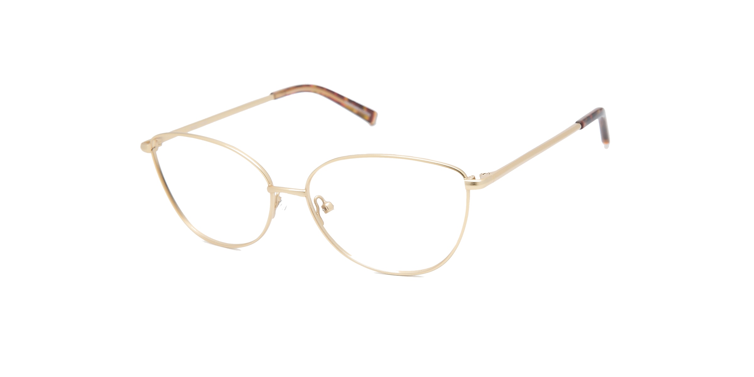 Clearly Glasses ALGONQUIN