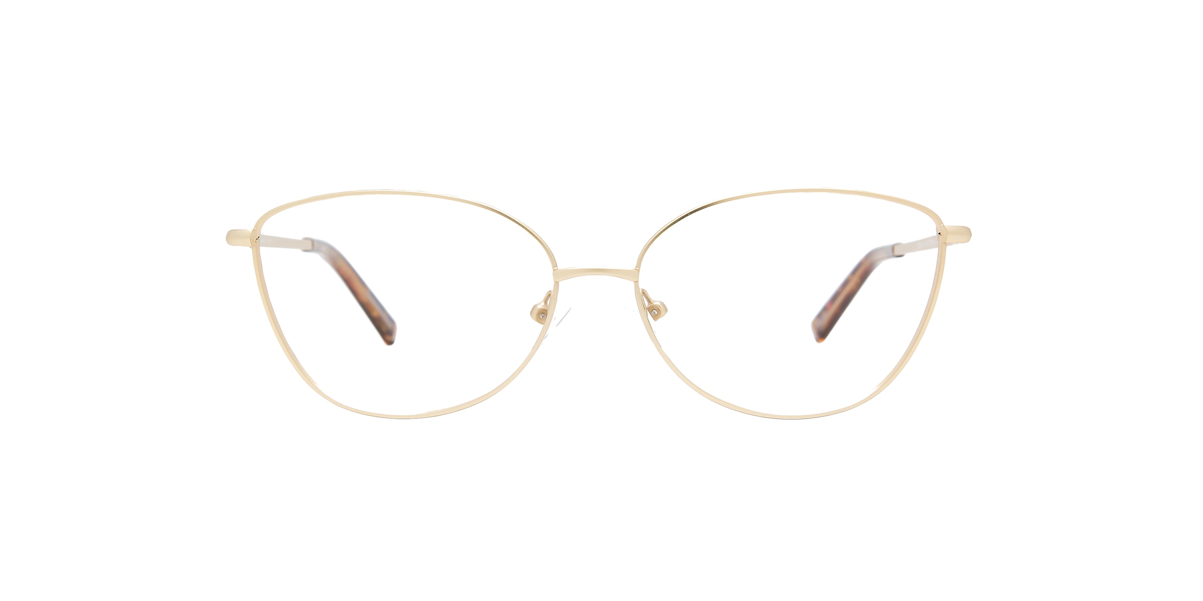 Clearly Glasses ALGONQUIN