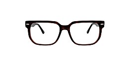 clearly Glasses isonoe