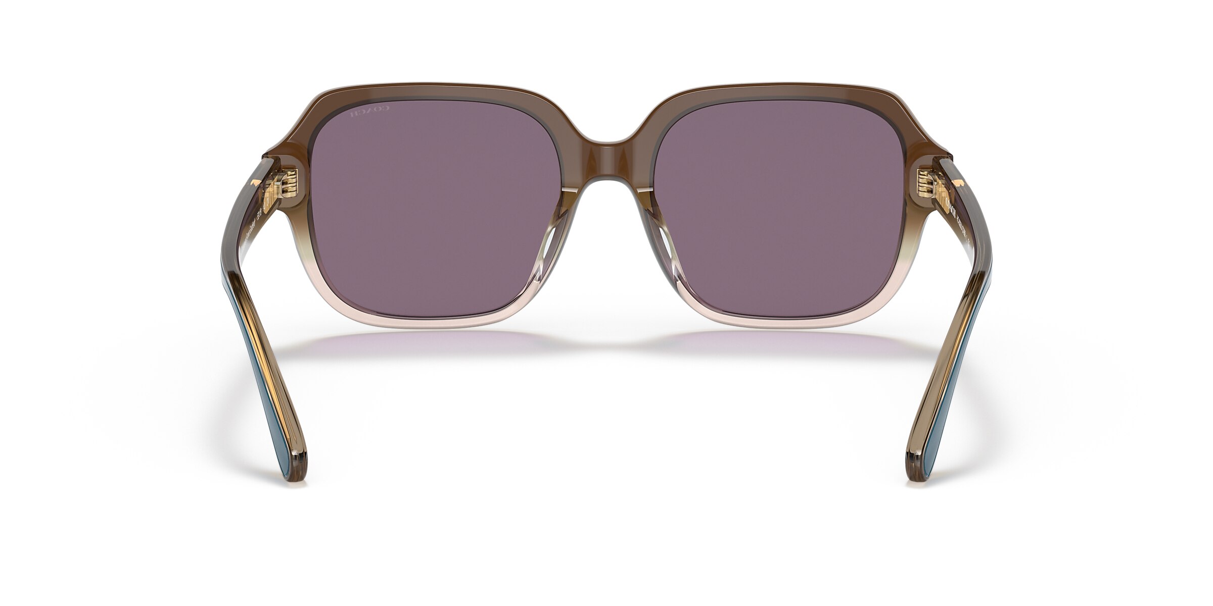 Coach Sunglasses HC8335U C7989