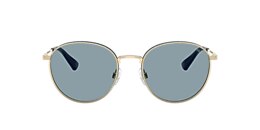 Polo Ralph Lauren Sunglasses PH3163