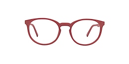 reincarnate Glasses currasow