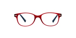 clearly Glasses pup