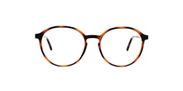 clearly Glasses creemore