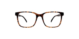 clearly Glasses albatross