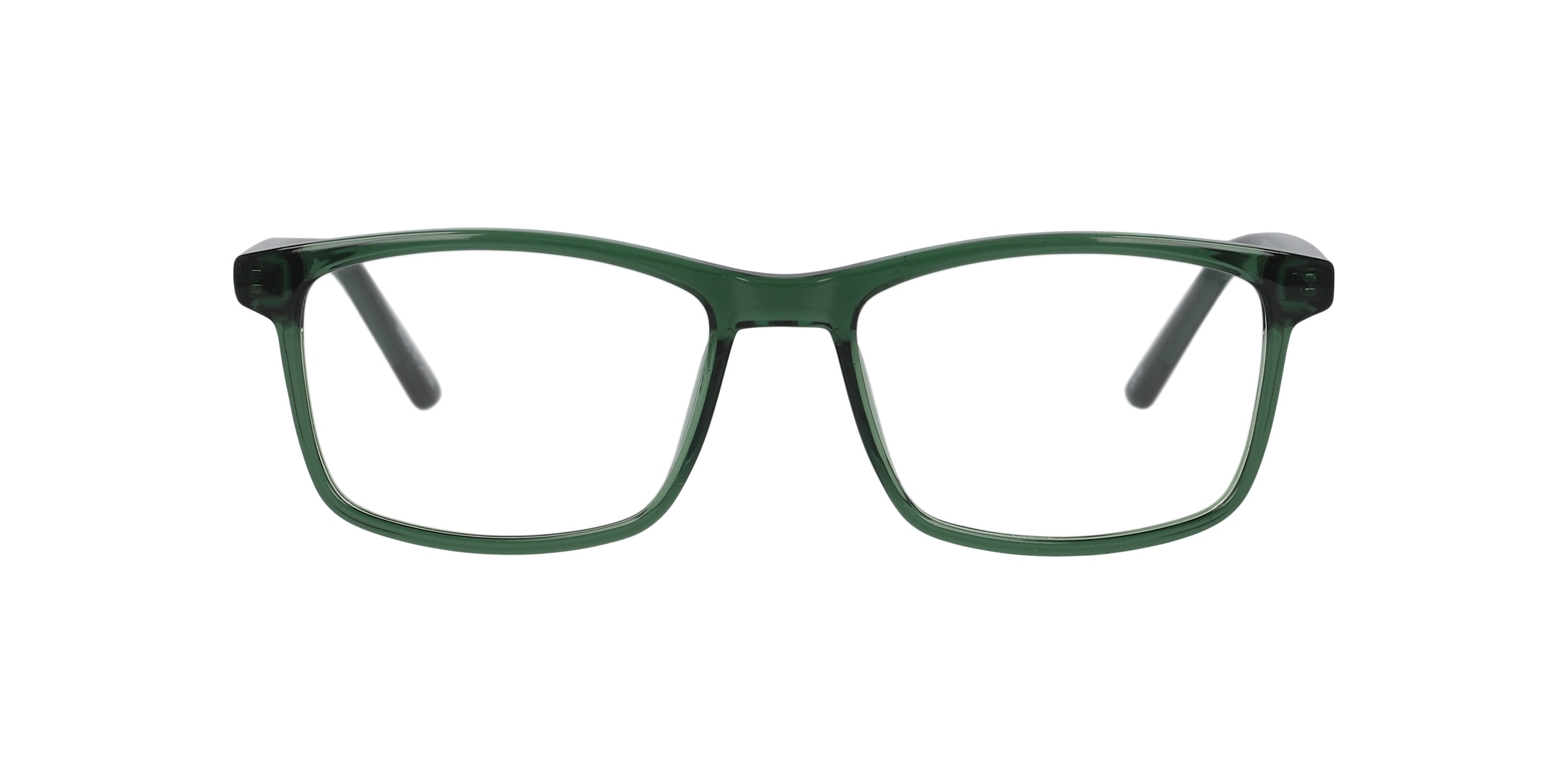 Clearly Glasses POLAR BEAR