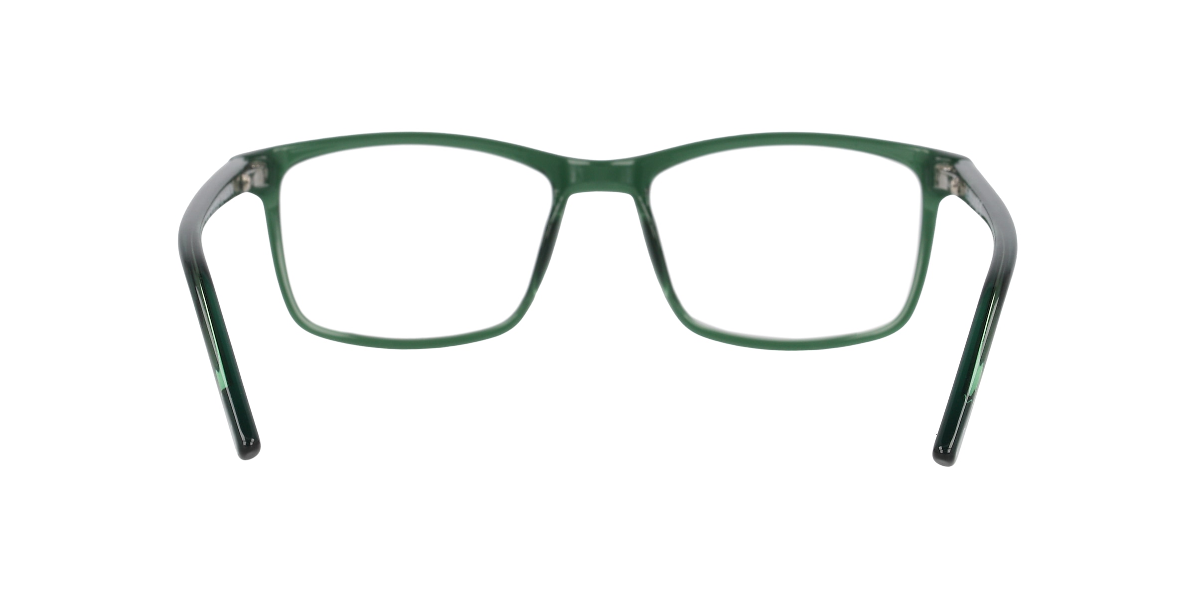 Clearly Glasses POLAR BEAR