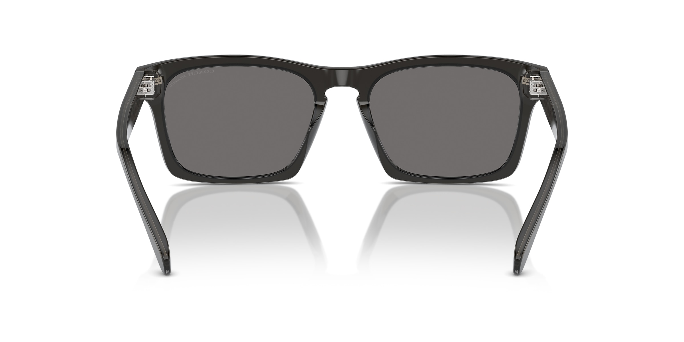 Coach Sunglasses HC8397U CR628