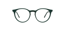 clearly Glasses owl