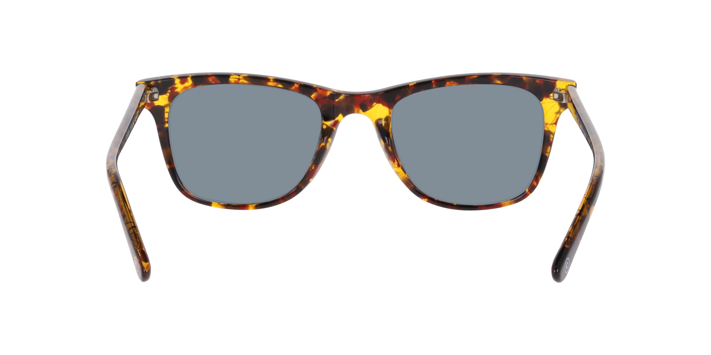 Clearly Sunglasses PRINCIPE