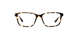 main and central Glasses beaufort