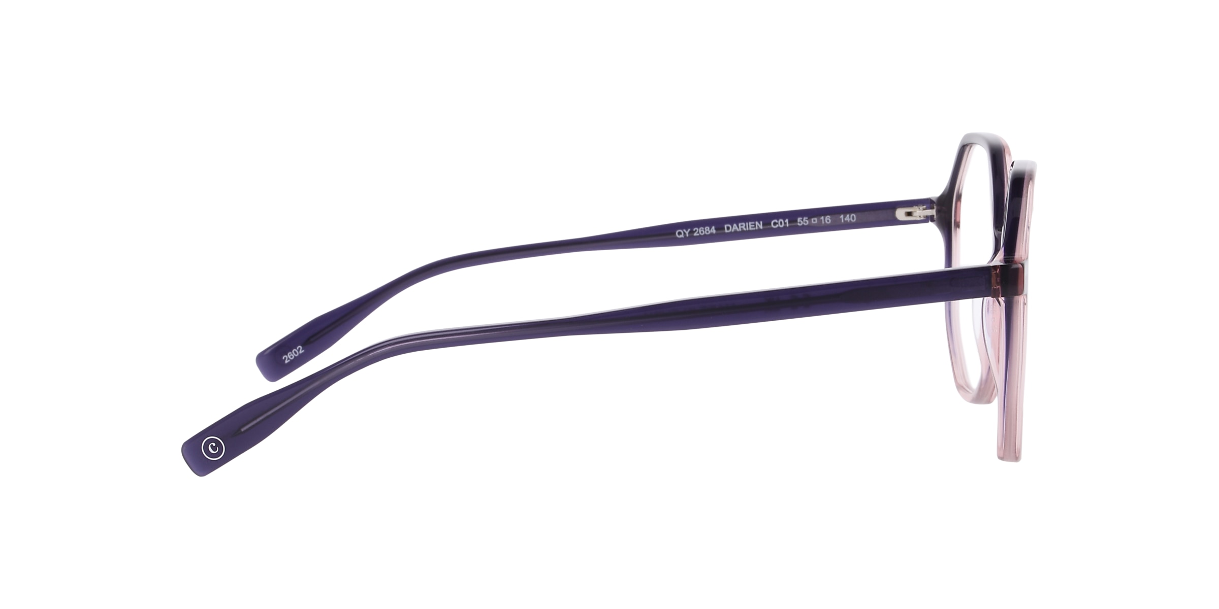 Clearly Glasses DARIEN