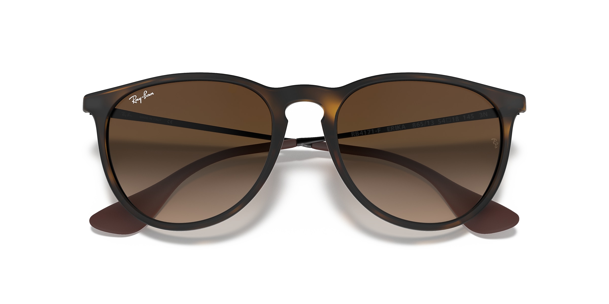 Ray-Ban Sunglasses RB4171F ERIKA CLASSIC