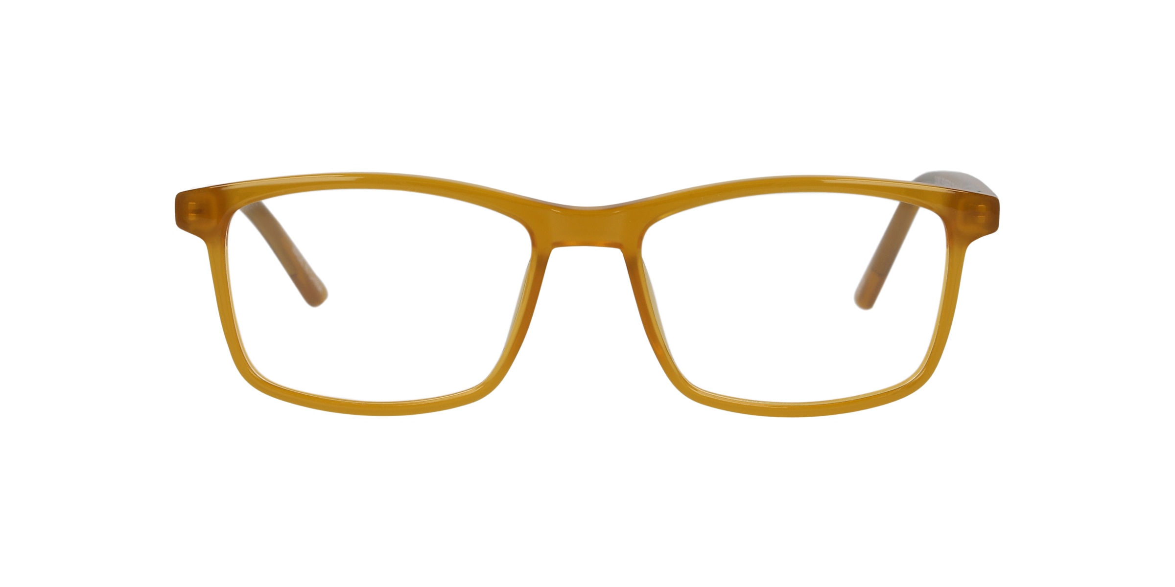 Clearly Glasses POLAR BEAR