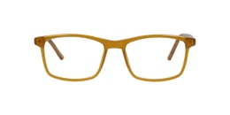 clearly Glasses polar bear