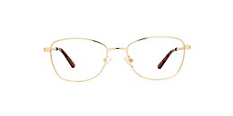 clearly Glasses bertrand