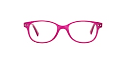 clearly Glasses pup