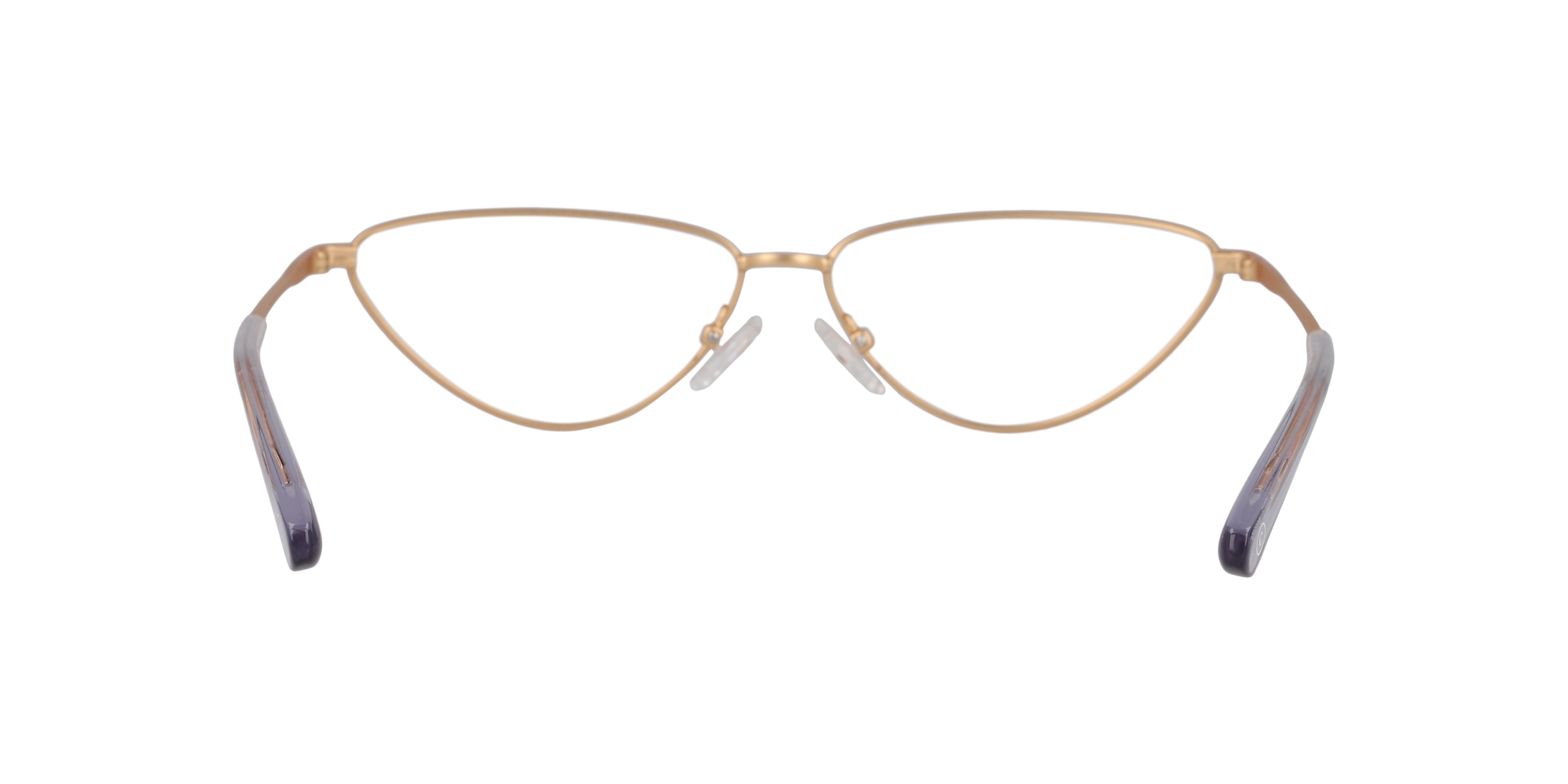 Clearly Glasses SHARP