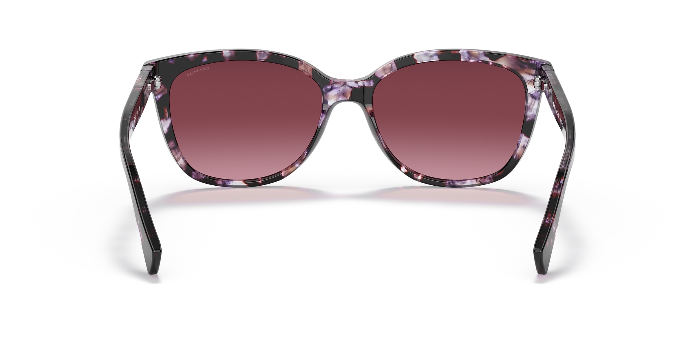 Coach Sunglasses HC8132 L109