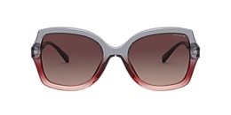 coach Sunglasses hc8295 l1147