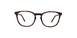 reincarnate Glasses monarch
