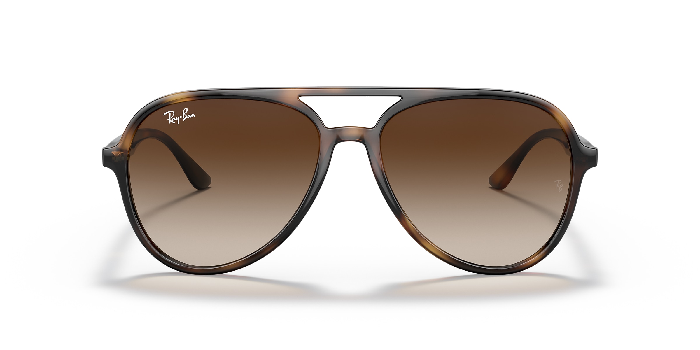 Ray-Ban Sunglasses RB4376