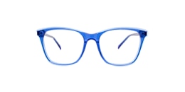 clearly Glasses pasithee