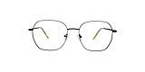 Clearly Glasses PROVOST