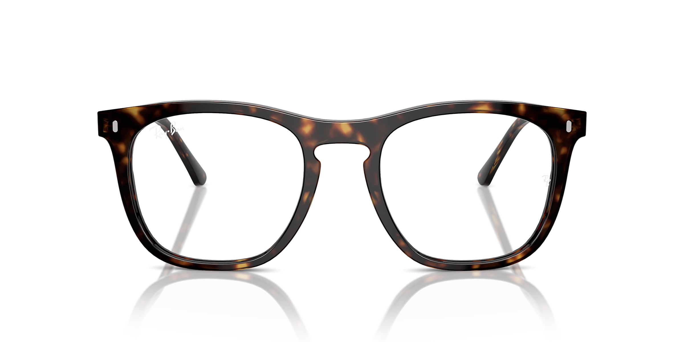 Ray-Ban Glasses RB2210V OPTICS