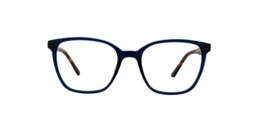 clearly Glasses georges cove