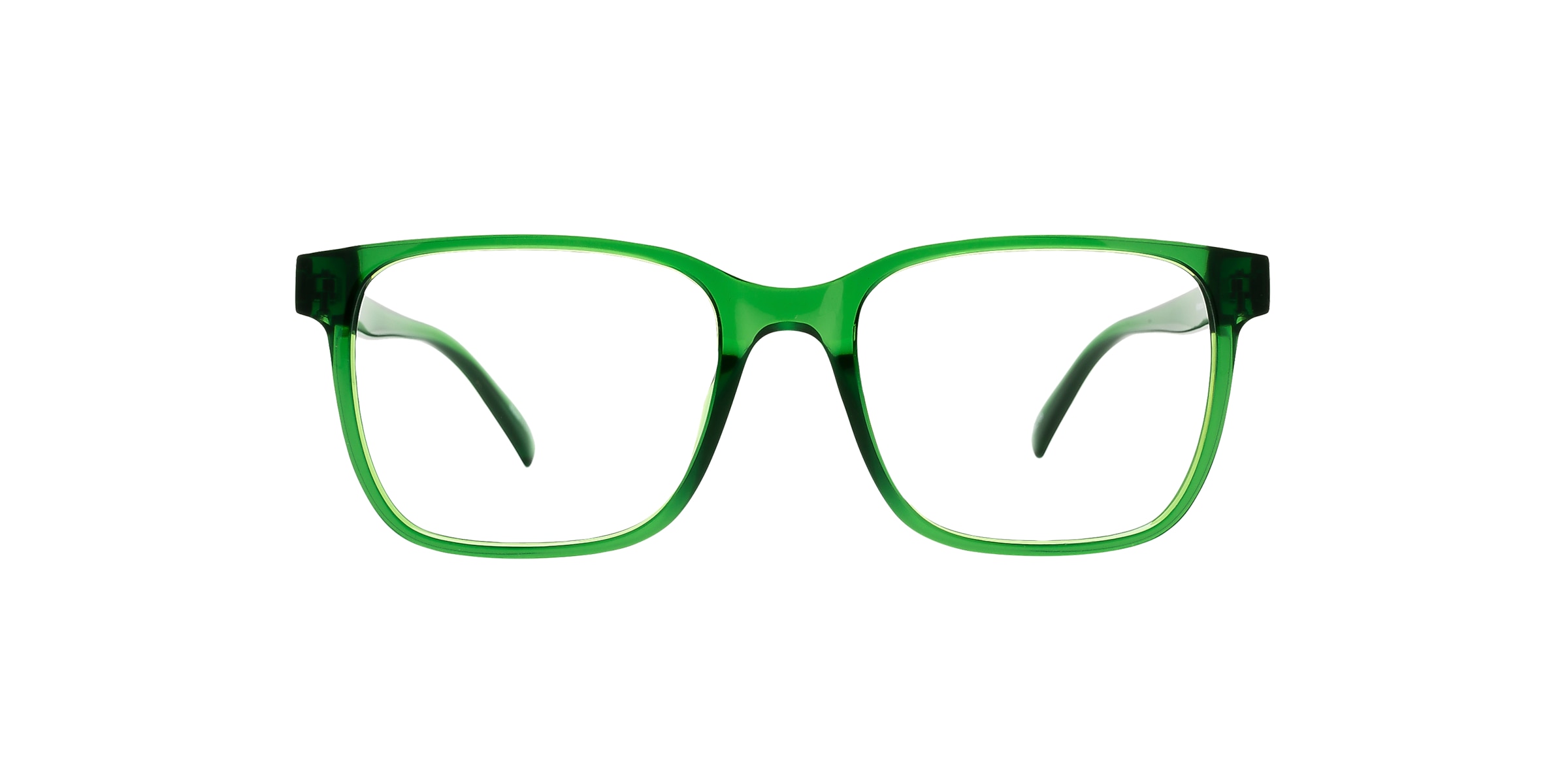 Clearly Glasses ALBATROSS