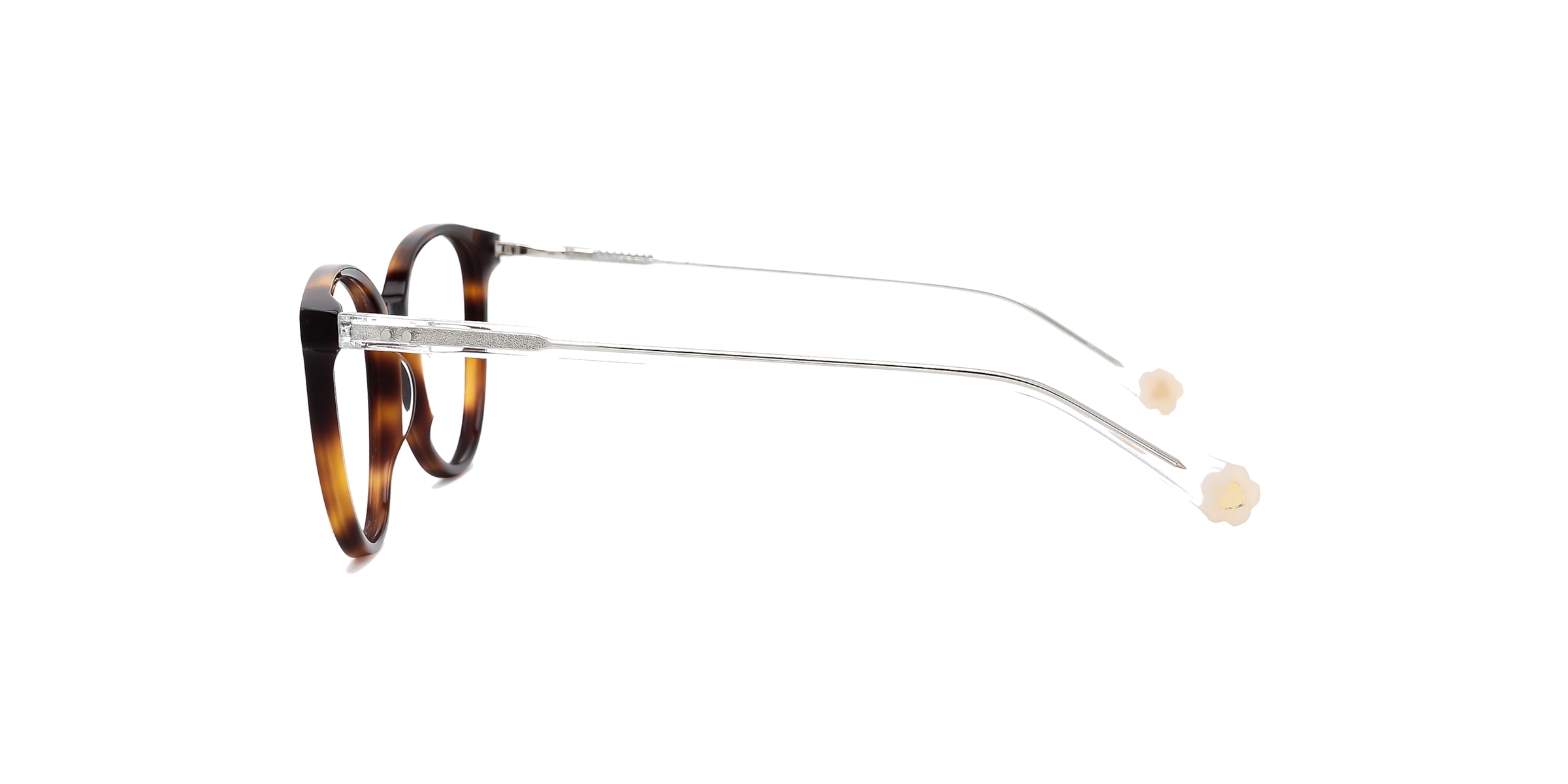 Clearly Glasses SPRUCE