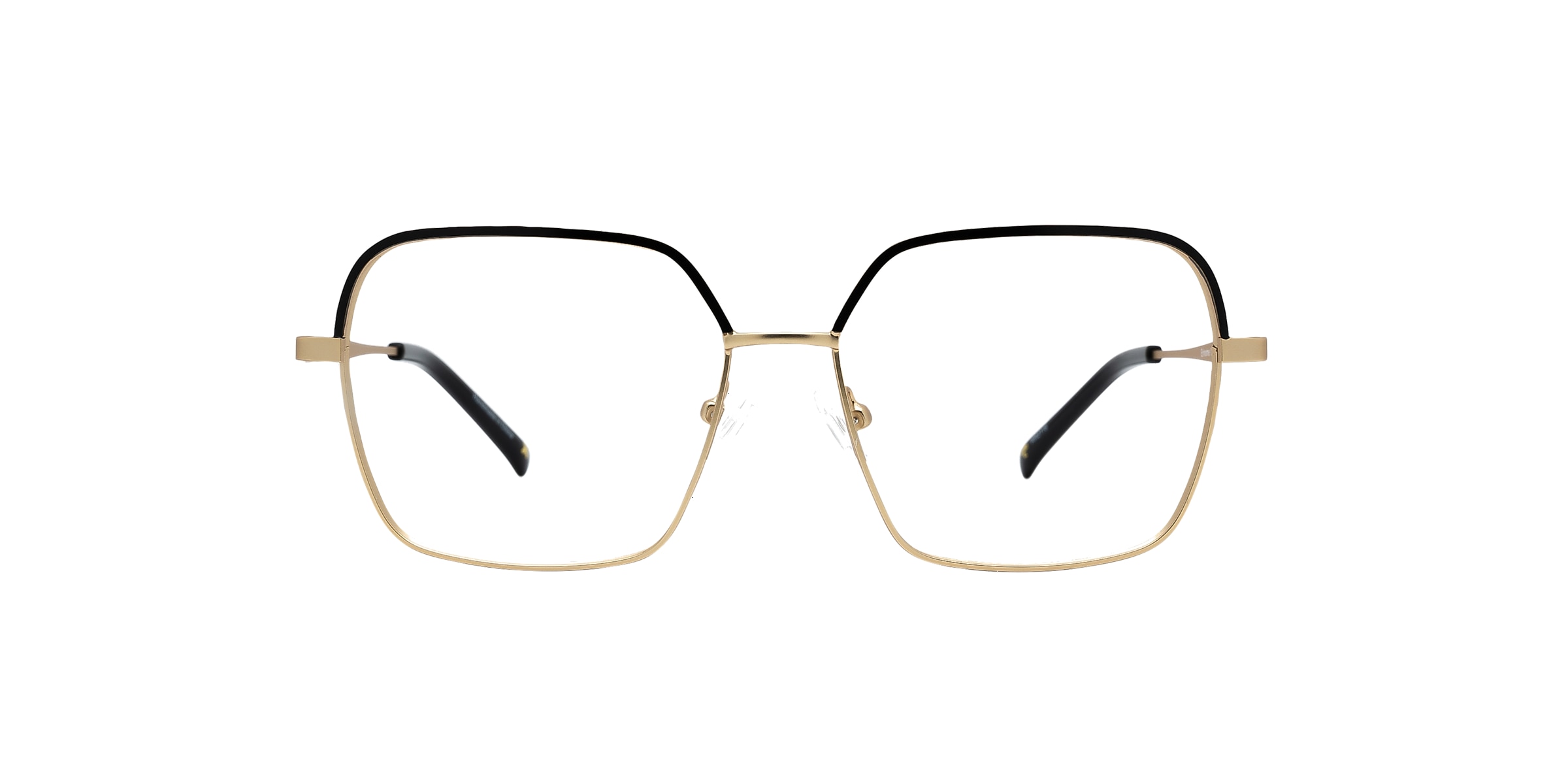 Clearly Glasses ERINOME