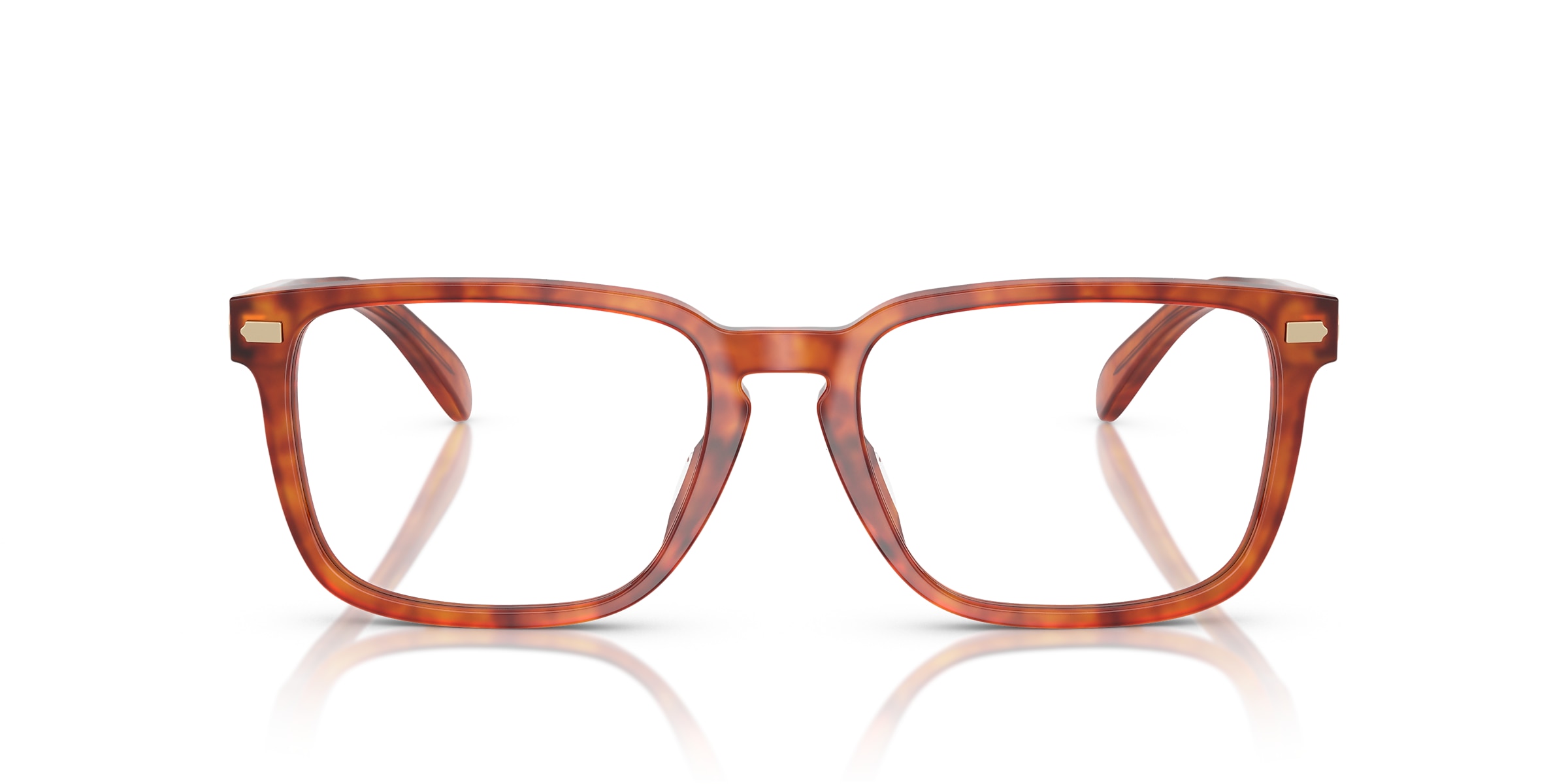 Coach Glasses HC6252U CY046