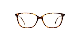 derek cardigan Glasses regal