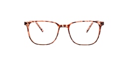 clearly Glasses baobab