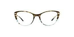 kam dhillon Glasses faye