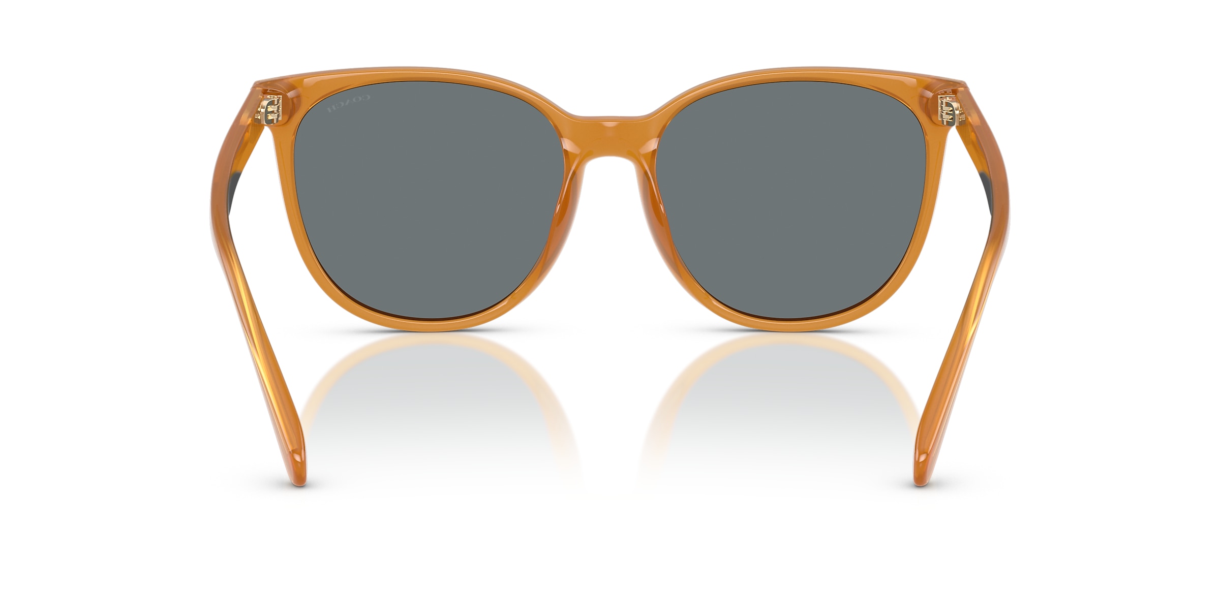 Coach Sunglasses HC8414BD CW428